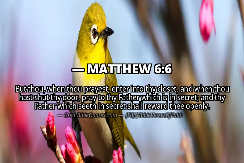 Image for MATTHEW 6:6 Bible verse