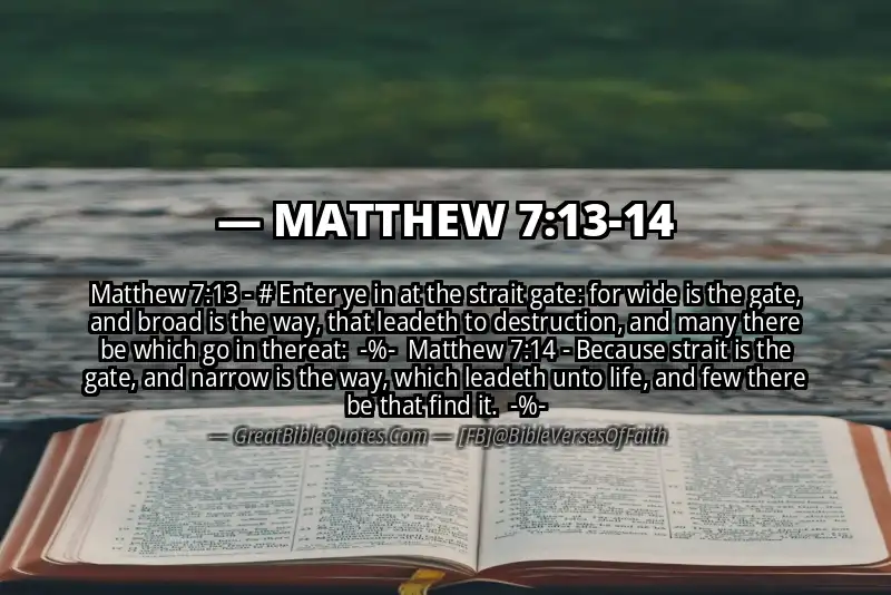 Image for MATTHEW 7:13-14 Bible verse