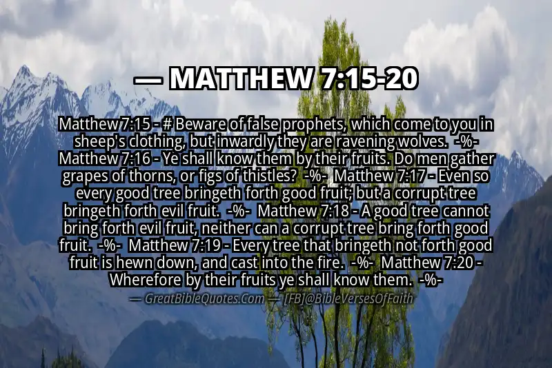 Image for MATTHEW 7:15-20 Bible verse