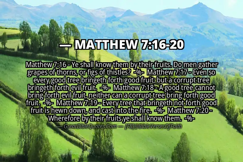 Image for MATTHEW 7:16-20 Bible verse