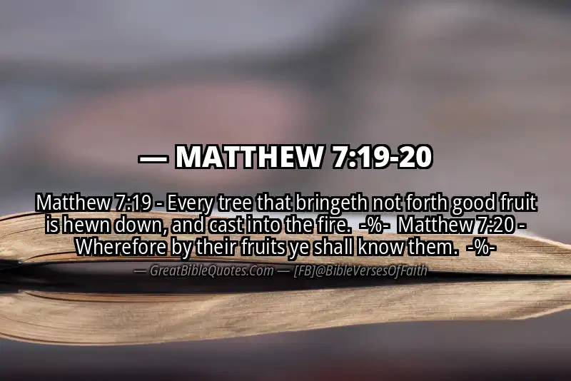 Image for MATTHEW 7:19-20 Bible verse