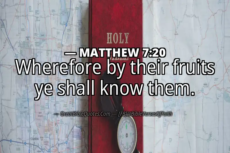 MATTHEW 7:20 Verse