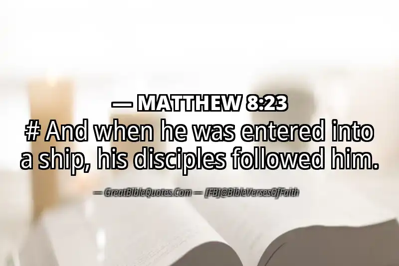 MATTHEW 8:23 Verse