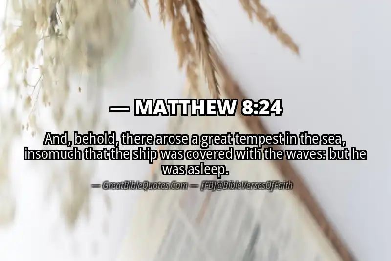 MATTHEW 8:24 Verse Image