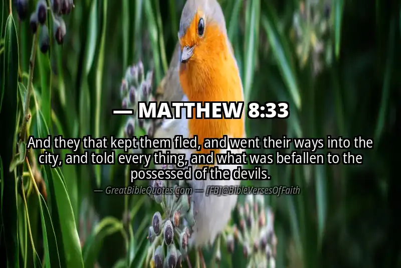 MATTHEW 8:33 Verse