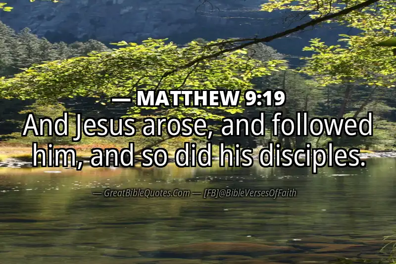 MATTHEW 9:19 Verse