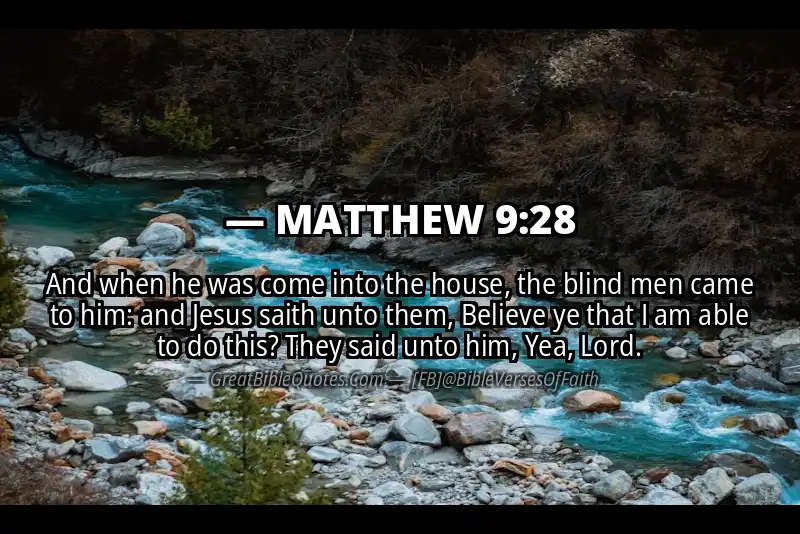 MATTHEW 9:28 Verse