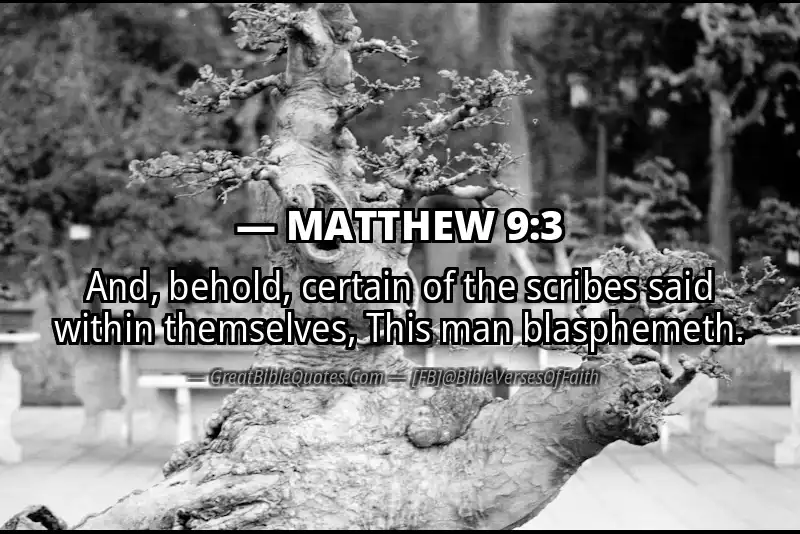 MATTHEW 9:3 Verse
