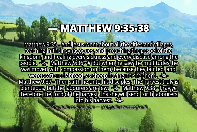 Image for MATTHEW 9:35-38 Bible verse