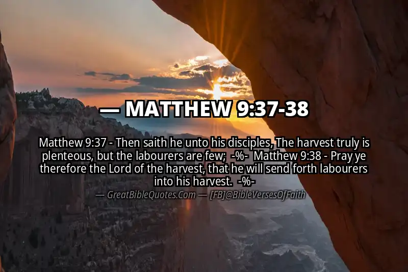 Image for MATTHEW 9:37-38 Bible verse
