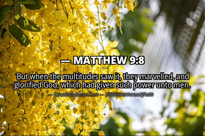 MATTHEW 9:8 Verse Image