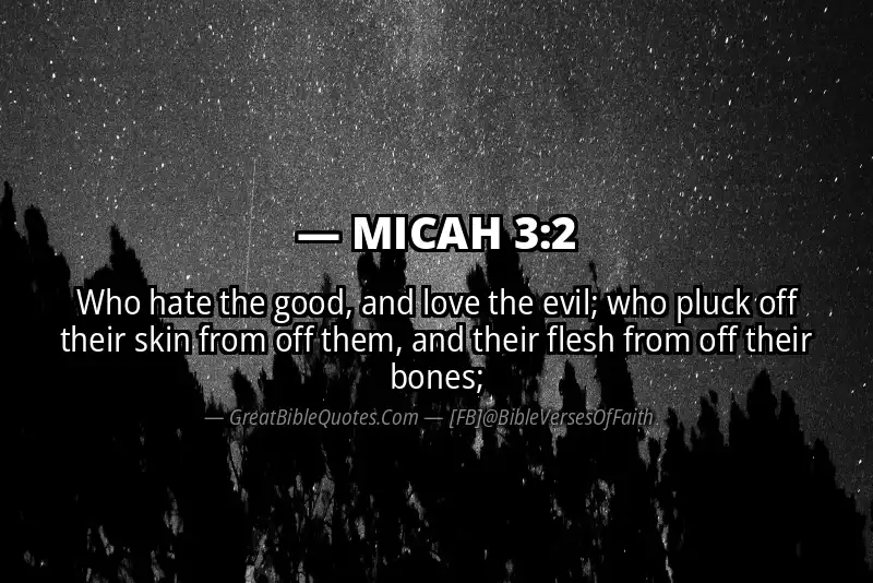 Bible verse: MICAH 3:2 Image