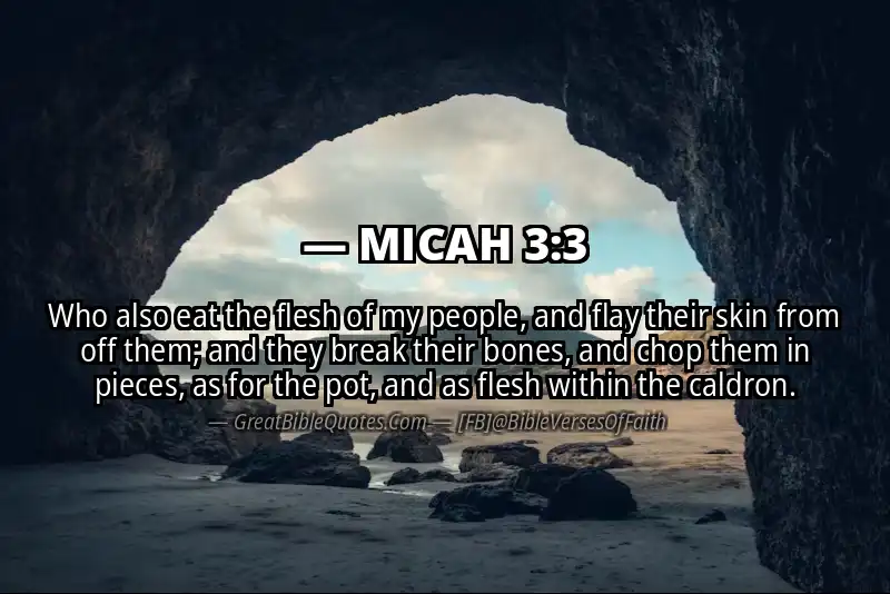 Bible verse: MICAH 3:3 Image