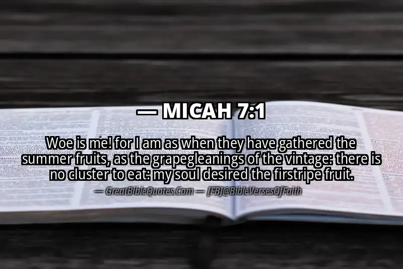MICAH 7:1 Verse