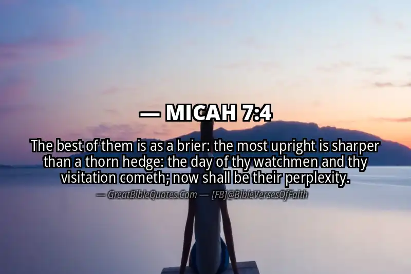 MICAH 7:4 Verse