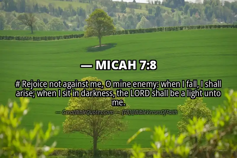 MICAH 7:8 Verse