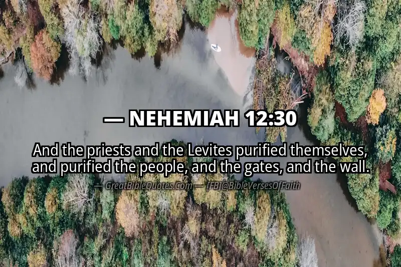 NEHEMIAH 12:30 Verse