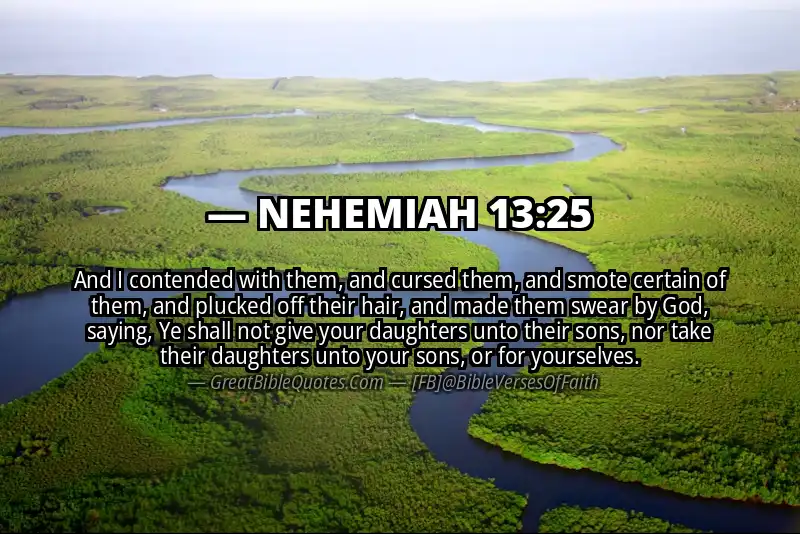 Image for NEHEMIAH 13:25 Bible verse