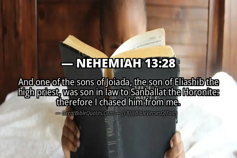 NEHEMIAH 13:28 Verse