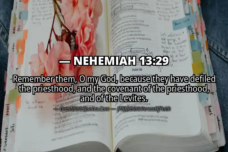 NEHEMIAH 13:29 Verse