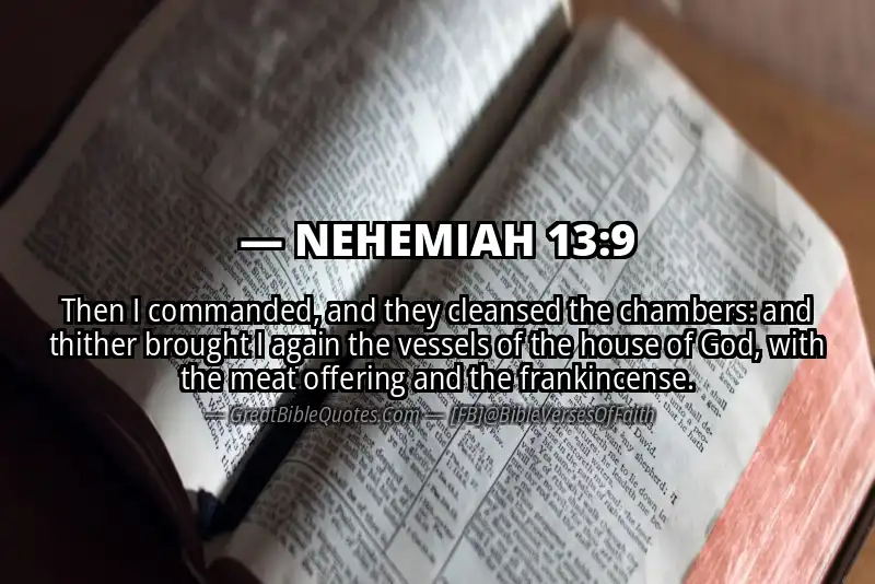 NEHEMIAH 13:9 Verse
