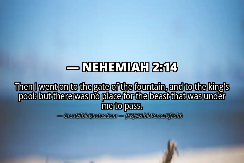 NEHEMIAH 2:14 Verse
