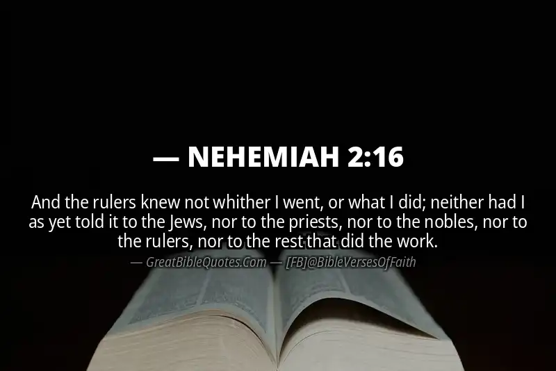 NEHEMIAH 2:16 Verse