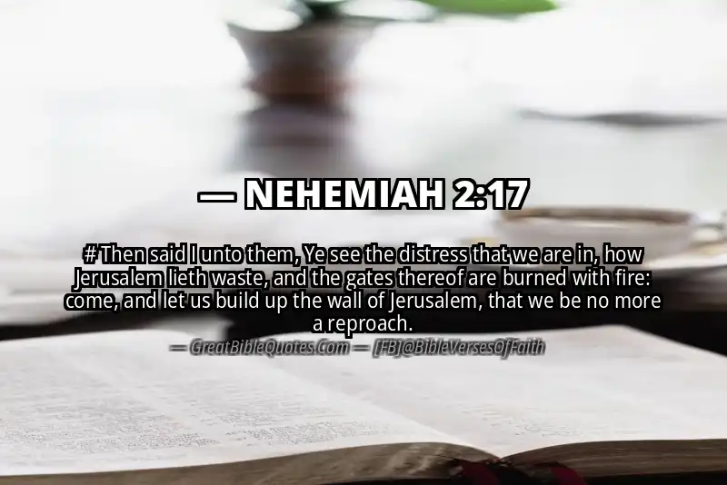 NEHEMIAH 2:17 Verse