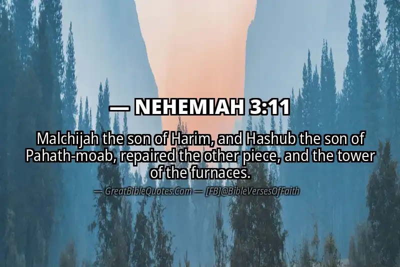 NEHEMIAH 3:11 Verse