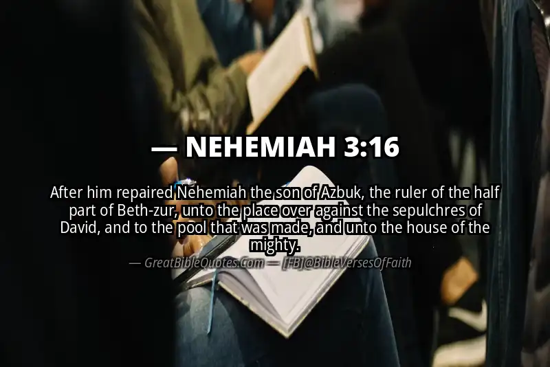 NEHEMIAH 3:16 Verse