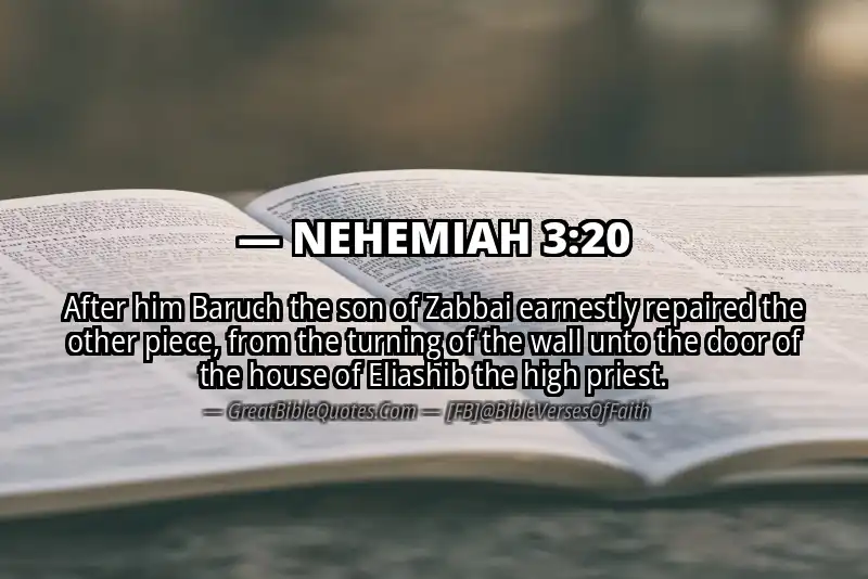 NEHEMIAH 3:20 Verse