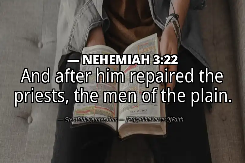 NEHEMIAH 3:22 Verse