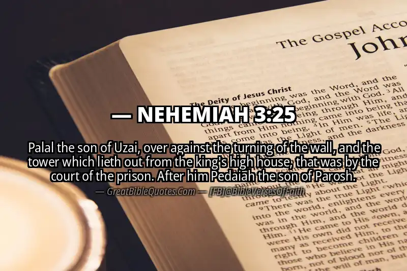 NEHEMIAH 3:25 Verse