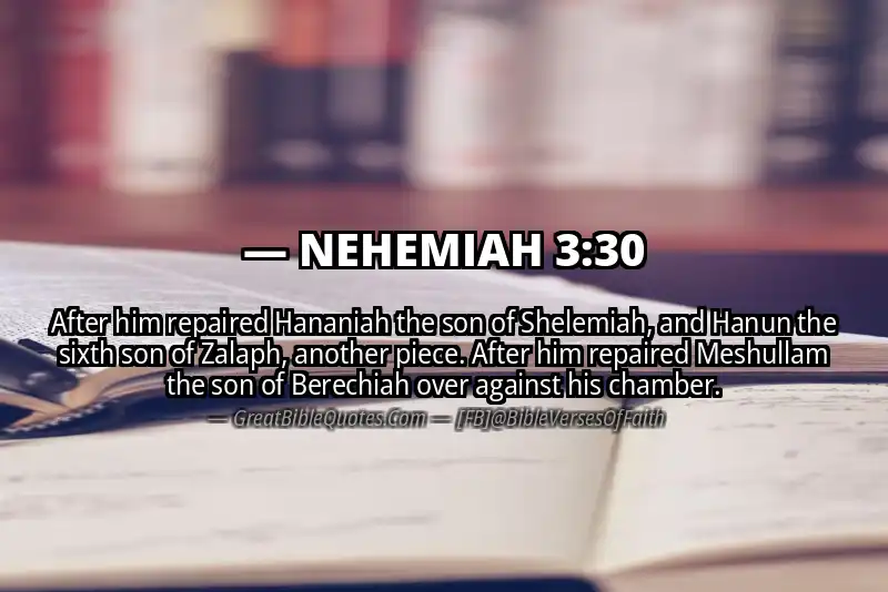 NEHEMIAH 3:30 Verse Image