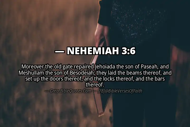 NEHEMIAH 3:6 Verse