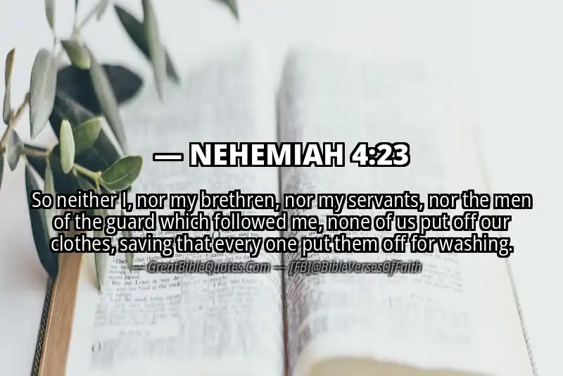 NEHEMIAH 4:23 Verse