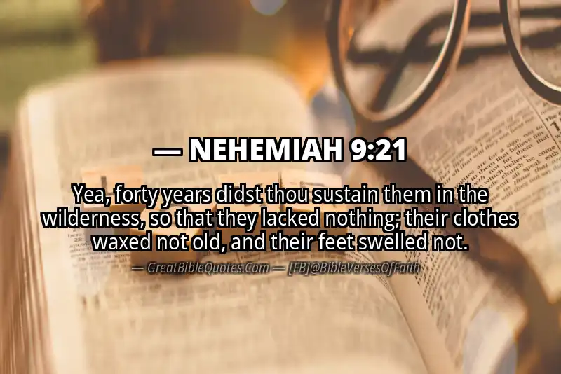 NEHEMIAH 9:21 Verse