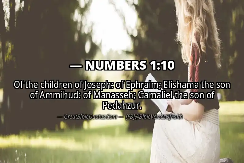 NUMBERS 1:10 Verse