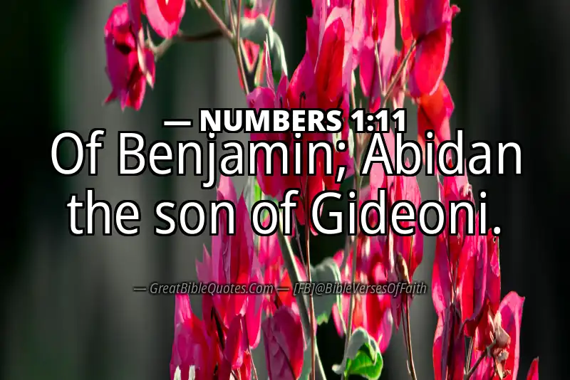 NUMBERS 1:11 Verse
