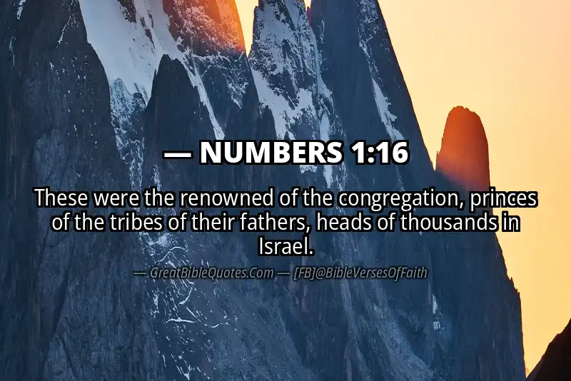 Bible verse: NUMBERS 1:16 Image