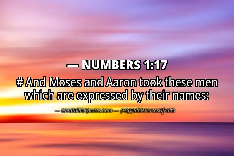 Bible verse: NUMBERS 1:17 Image