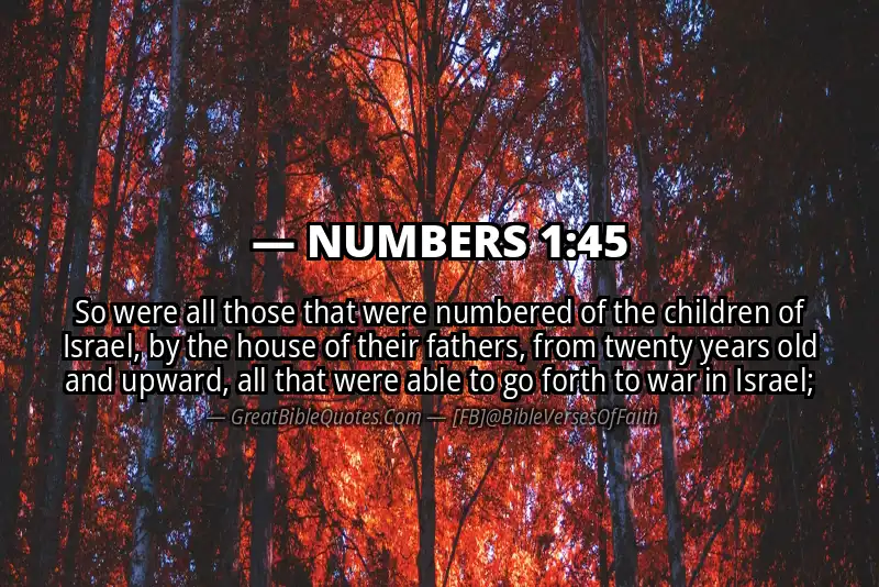 Bible verse: NUMBERS 1:45 Image