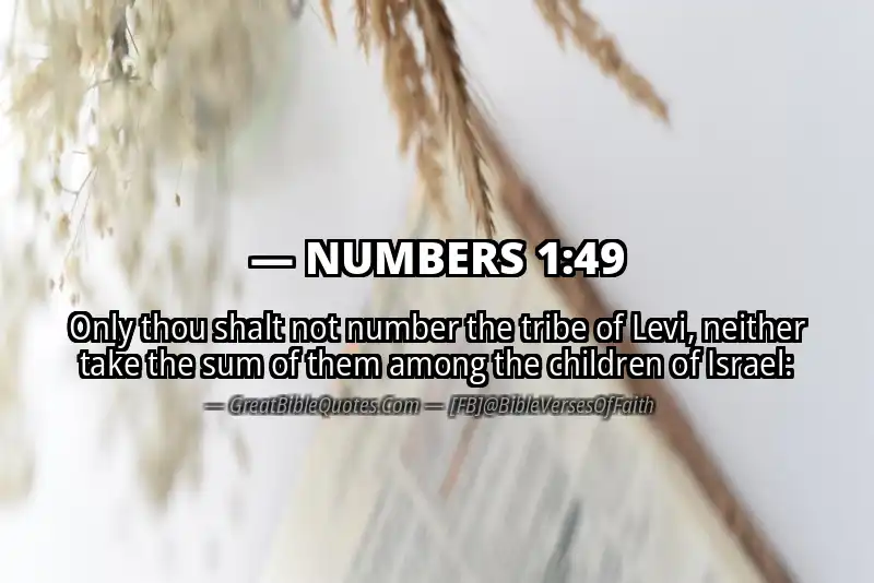 NUMBERS 1:49 Verse