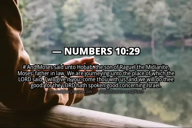 NUMBERS 10:29 Verse