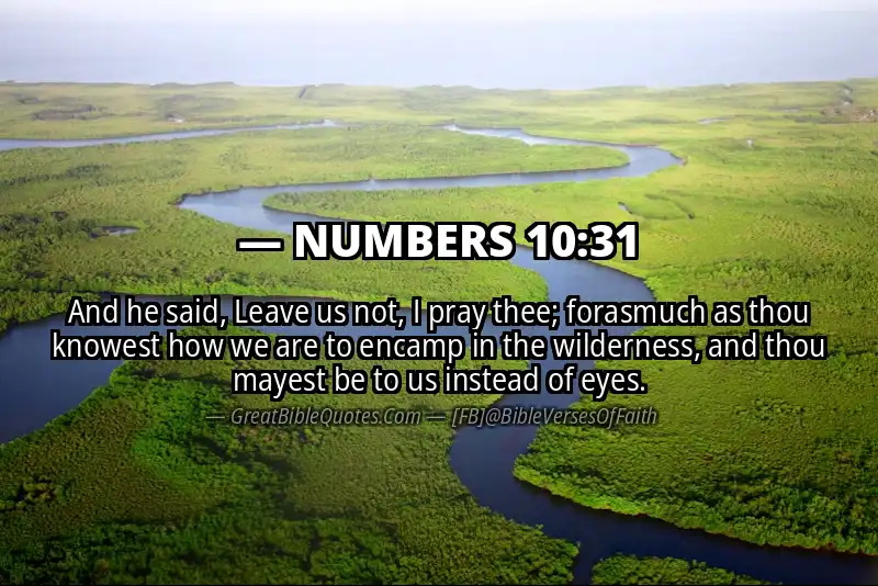 NUMBERS 10:31 Verse