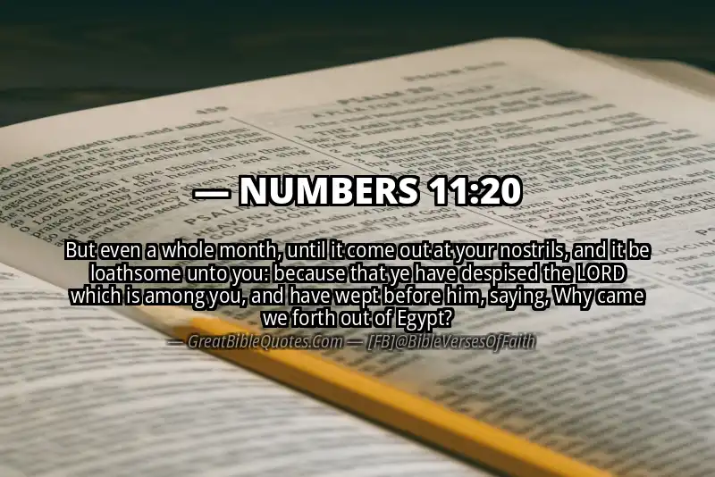 NUMBERS 11:20 Verse