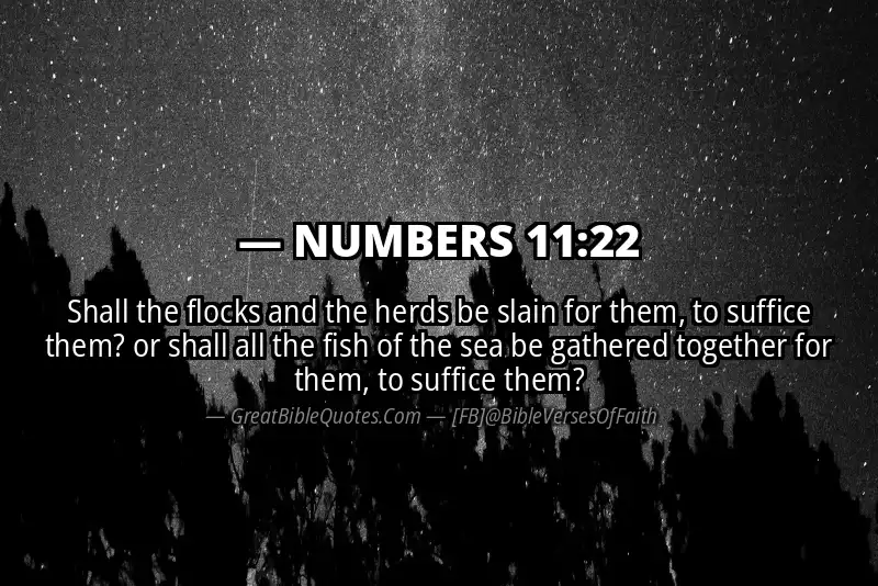 NUMBERS 11:22 Verse