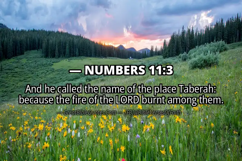 NUMBERS 11:3 Verse