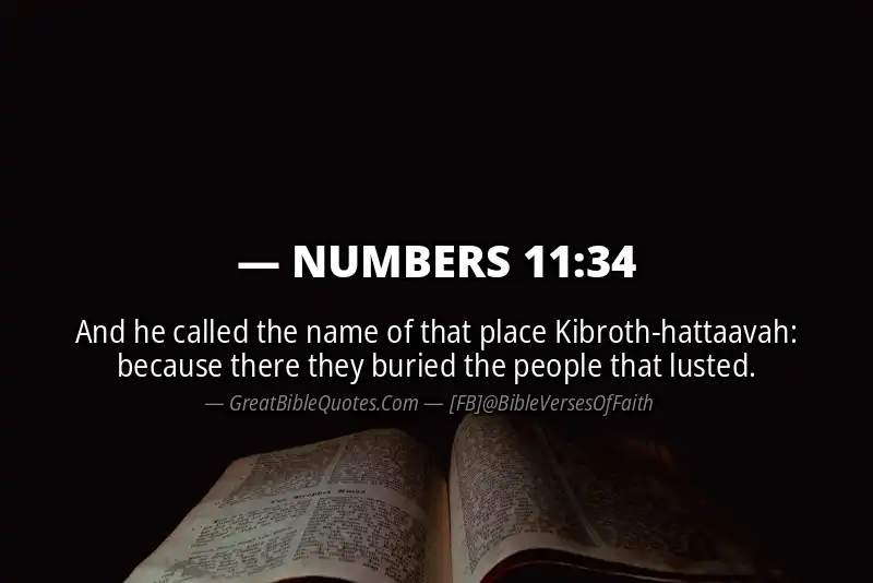 NUMBERS 11:34 Verse