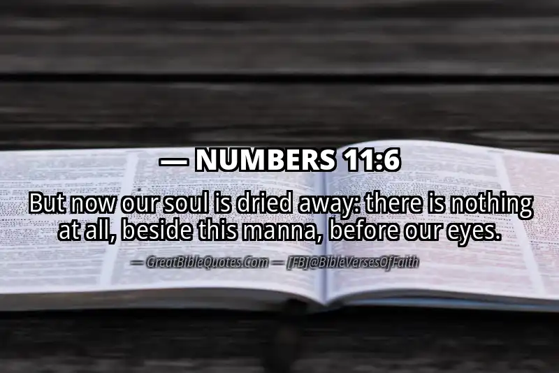 NUMBERS 11:6 Verse